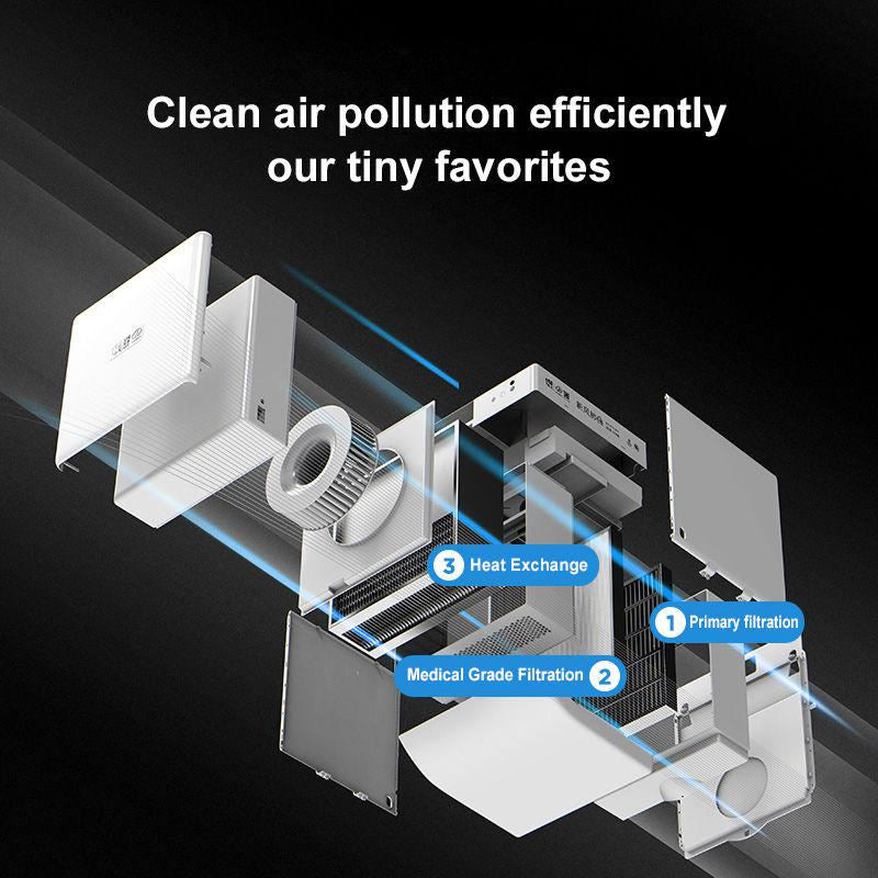 AirPro Fresh FE6  |   Single Room Ductless Installation Wall Mounted Fresh Air Ventilator